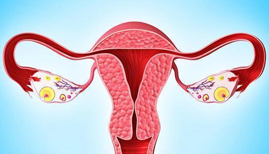 Premature ovarian failure has gradually become younger