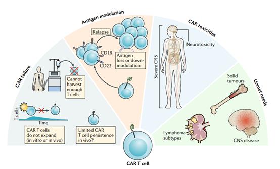 The resistance mechanism of CAR-T therapy