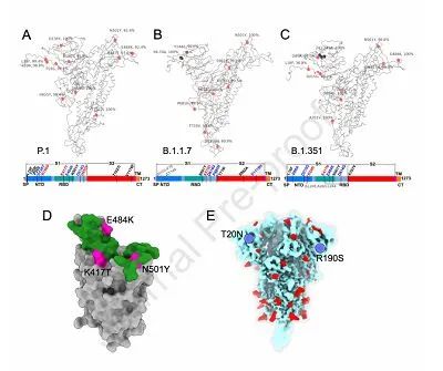 Potential threats of SARS-CoV-2 mutant strains and development strategies