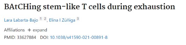 Nature: Tumor checkpoint immunotherapy relies on "dry-like" CD8+ T cells