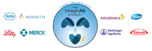 Screening tool for immunotherapy: Molecular immunoPET imaging technology