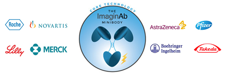 Screening tool for immunotherapy: Molecular immunoPET imaging technology