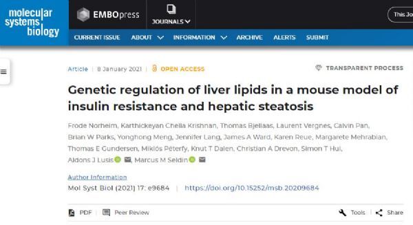 Adjust the level of harmful fatty substances in the liver to treat non-alcoholic fatty liverMol Sys Biol: Scientists have successfully adjusted the level of harmful fatty substances in the liver, promising the treatment of non-alcoholic fatty liver.