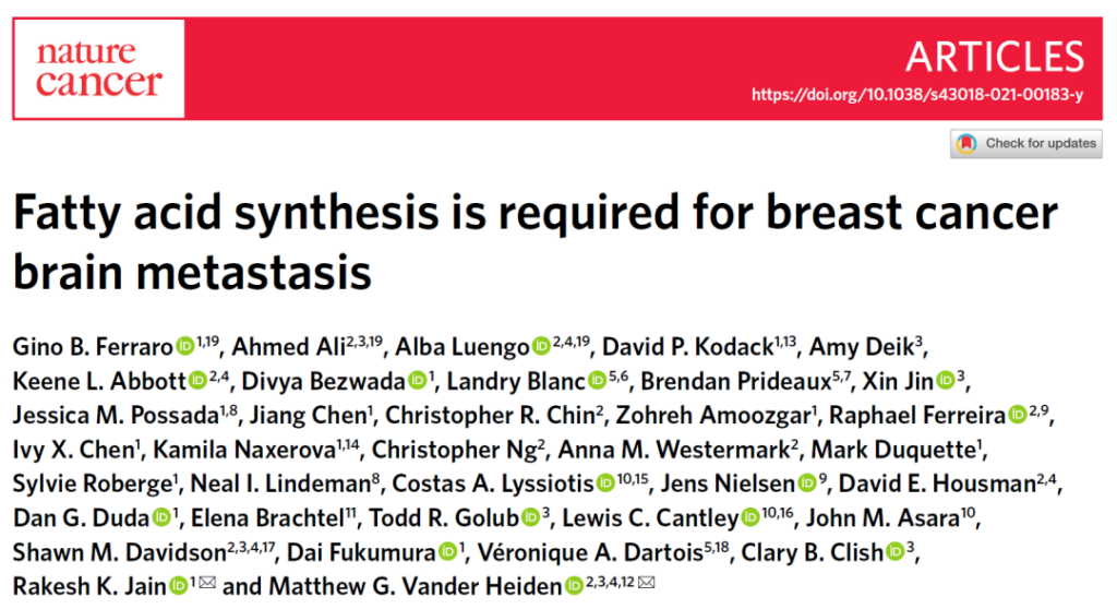 Nature Cancer: Breast cancer brain metastasis depends on fatty acid synthesis