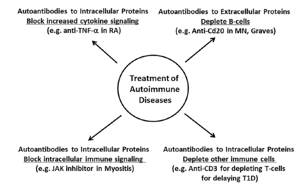 Intracellular autoantigen antibodies Vs extracellular autoantigen antibodies