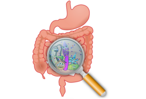 The development of healthy human intestinal flora before the age of 5