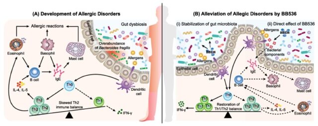The mechanism of  Bifidobacterium longum to prevent intestinal diseases
