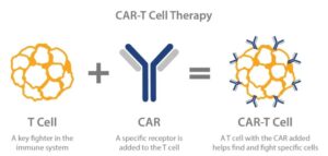 Nature: What challenges for CAR-T therapy when treating solid tumors?