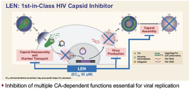 Gilead's lenacapavir: Long-acting HIV therapy once every 6 months!