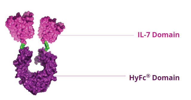 The initial clinical efficacy of IL7 fusion protein