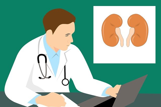 Will a kidney disease patient with a little proteinuria develop to uremia?