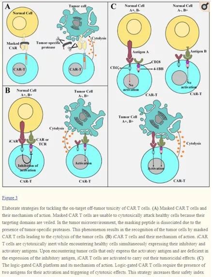 Strategies to deal with CAR T cell treatment obstacles