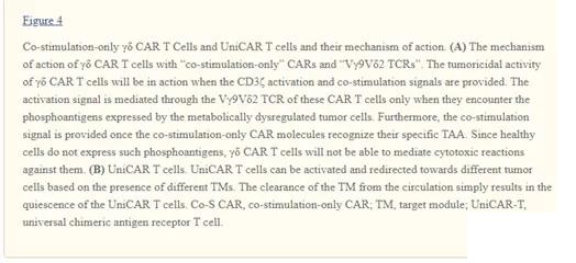 Strategies to deal with CAR T cell treatment obstacles