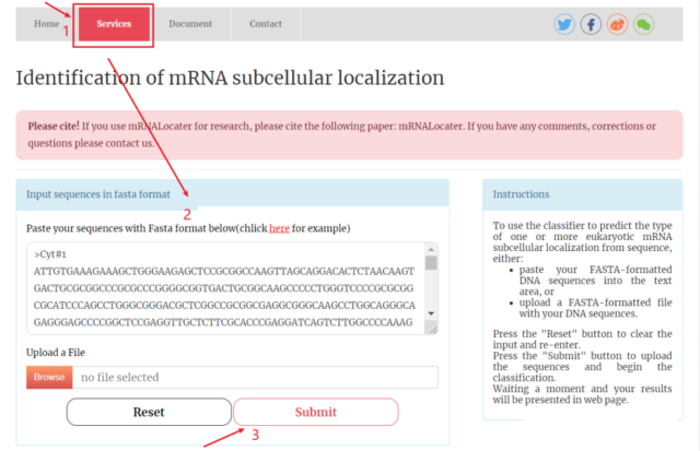 mRNALocater: The database that can more accurately predict mRNA