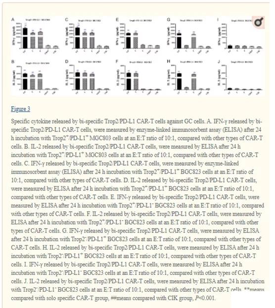 A new bispecific Trop2/PD-L1 CAR-T cell targeting gastric cancer