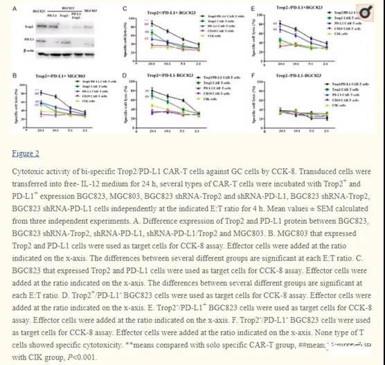 A new bispecific Trop2/PD-L1 CAR-T cell targeting gastric cancer