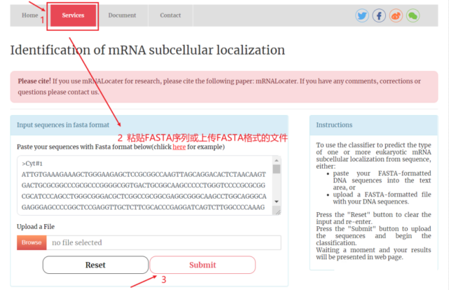 New database that can more accurately predict mRNA subcellular location