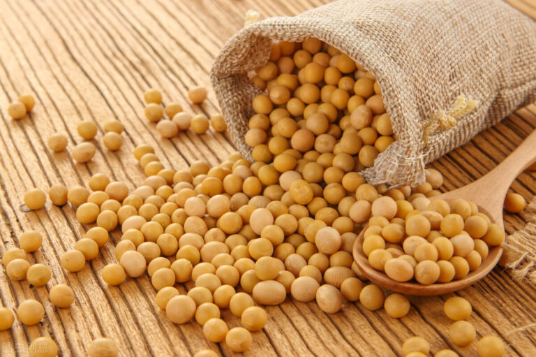 Why soybeans are the first choice for diabetics?