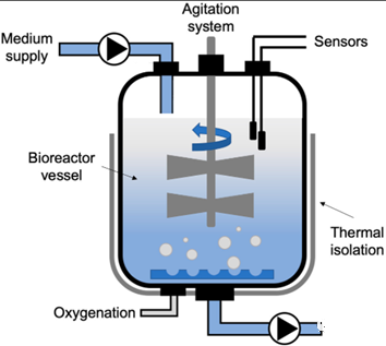 Bioreactor system for clinical scale expansion of T cells