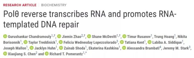 Human cells can write RNA sequences into DNA and challenge is coming!