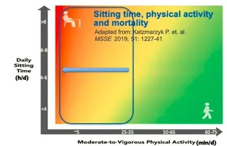 How many hours is appropriate to sit every day in case causing sickness?