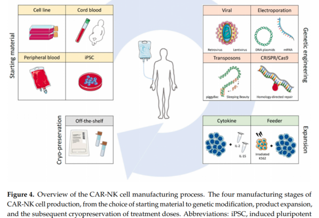 How to make CAR-NK cells used in cancer treatment?