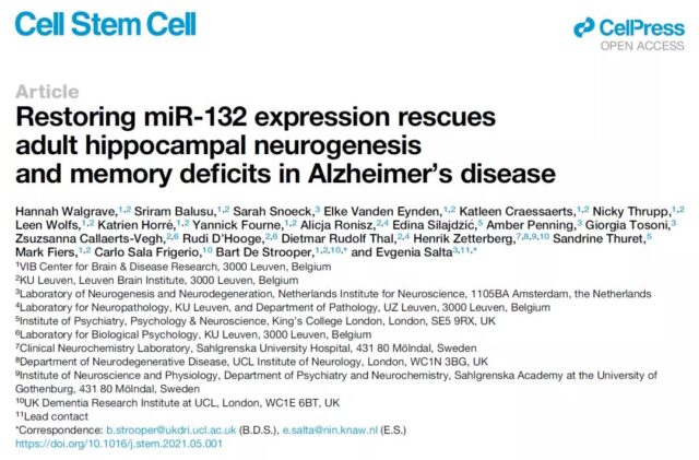 Cell Journal: This miRNA can reverse Alzheimer's memory loss