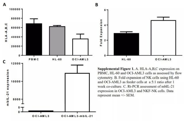NK feeder cells of mIL-21 drive the strong expansion and metabolic activation