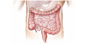 https://en.wikipedia.org/wiki/American_Gastroenterological_Association