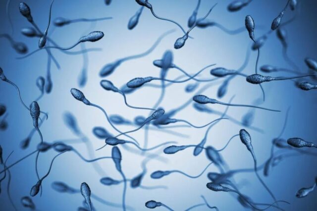 Even mild infection with COVID-19 can lead to long-term decline in the quality and quantity of men's sperm