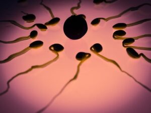 What applications will "artificial sperm" have in the future?