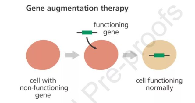 Summary of Mechanism and Strategy of Gene Therapy in Disease Treatment