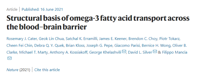Omega-3 may be the key to breaking through the blood-brain barrier (BBB)