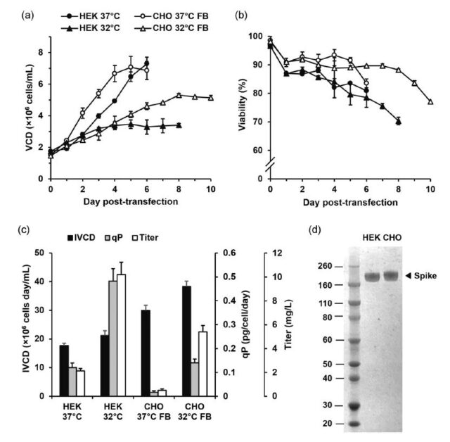SARS-CoV-2 Trimeric Spike Protein Used in Serological Detection of COVID-19