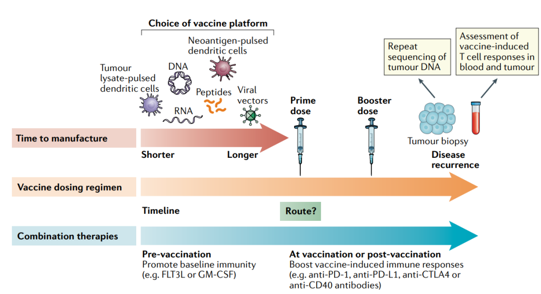 Research progress and challenges of personalized neoantigen tumor vaccines