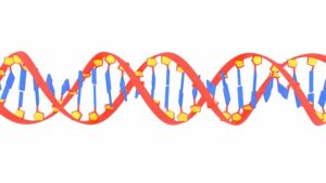 Epitranscriptome analysis: The hidden secret control of RNA modification