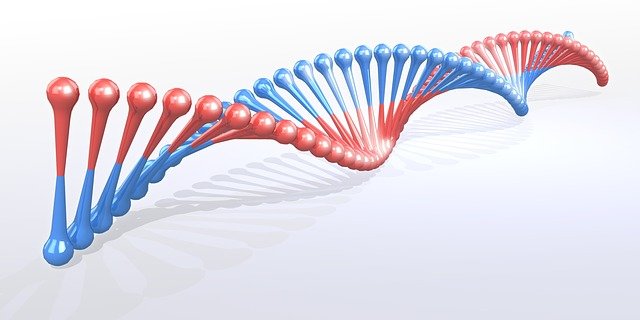 Men with GIGYF1 gene mutation 30% more risk of developing type 2 diabetes
