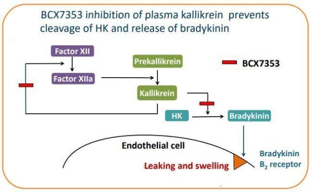 Plasma kallikrein inhibitor Orladeyo (berotralstat) was approved by EU!