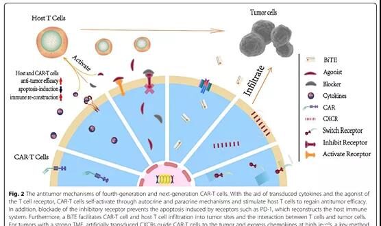What are the characteristics of the fourth-generation CAR-T cells?