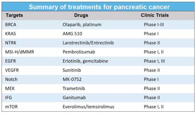 2021 top ten targets and drugs for precision treatment of pancreatic cancer.