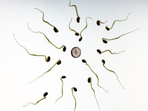 Concentration and vitality of sperm increased after COVID-19 mRNA vaccine?
