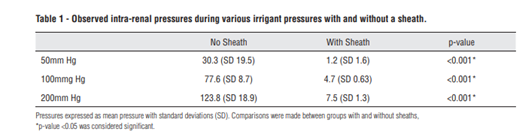 Flexible ureteroscope high pressure perfusion: Impacts on kidney histology