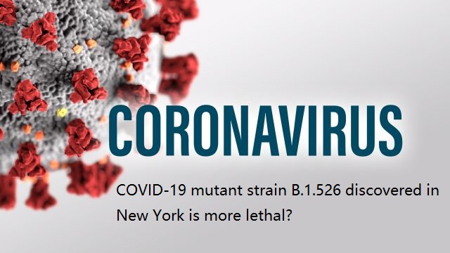 COVID-19 mutant strain B.1.526 discovered in New York is more lethal?
