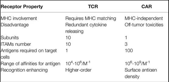 Therapy Comparison: Chimeric Antigen Receptor and T-Cell Receptor