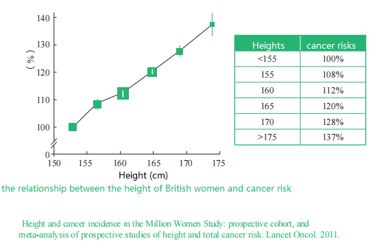 Every 10cm taller increase in height increases the risk of cancer? 