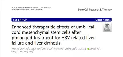 Mesenchymal stem cells: Effective in treating liver cirrhosis for a long time