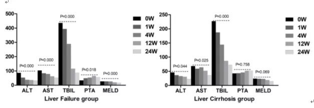Mesenchymal stem cells: Effective in treating liver cirrhosis for a long time