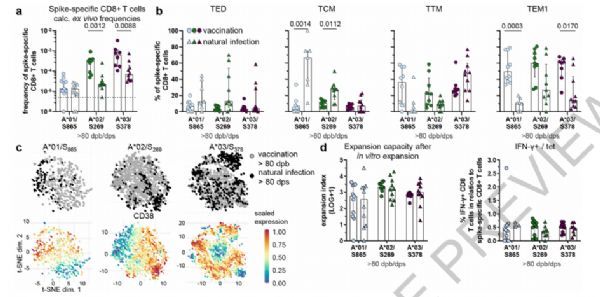 Nature: SARS-CoV-2 mRNA vaccine can quickly stabilize CD8+ T cells