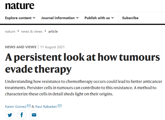 How tumor cells promote chemotherapy resistance?