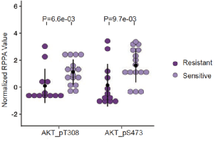 Cancer Discovery: Targeted degradation of AKT can effectively treat a variety of cancers